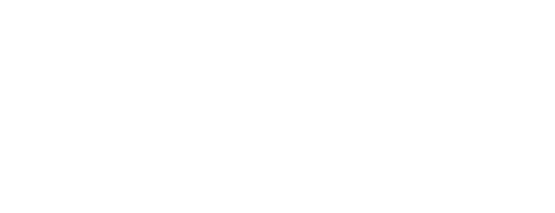Ca' Foscari University of Venice